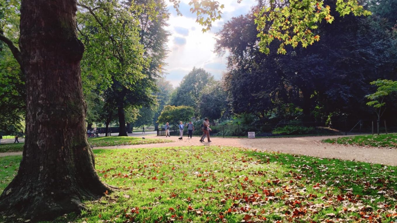 Beneficios de contar con un gran parque en la ciudad